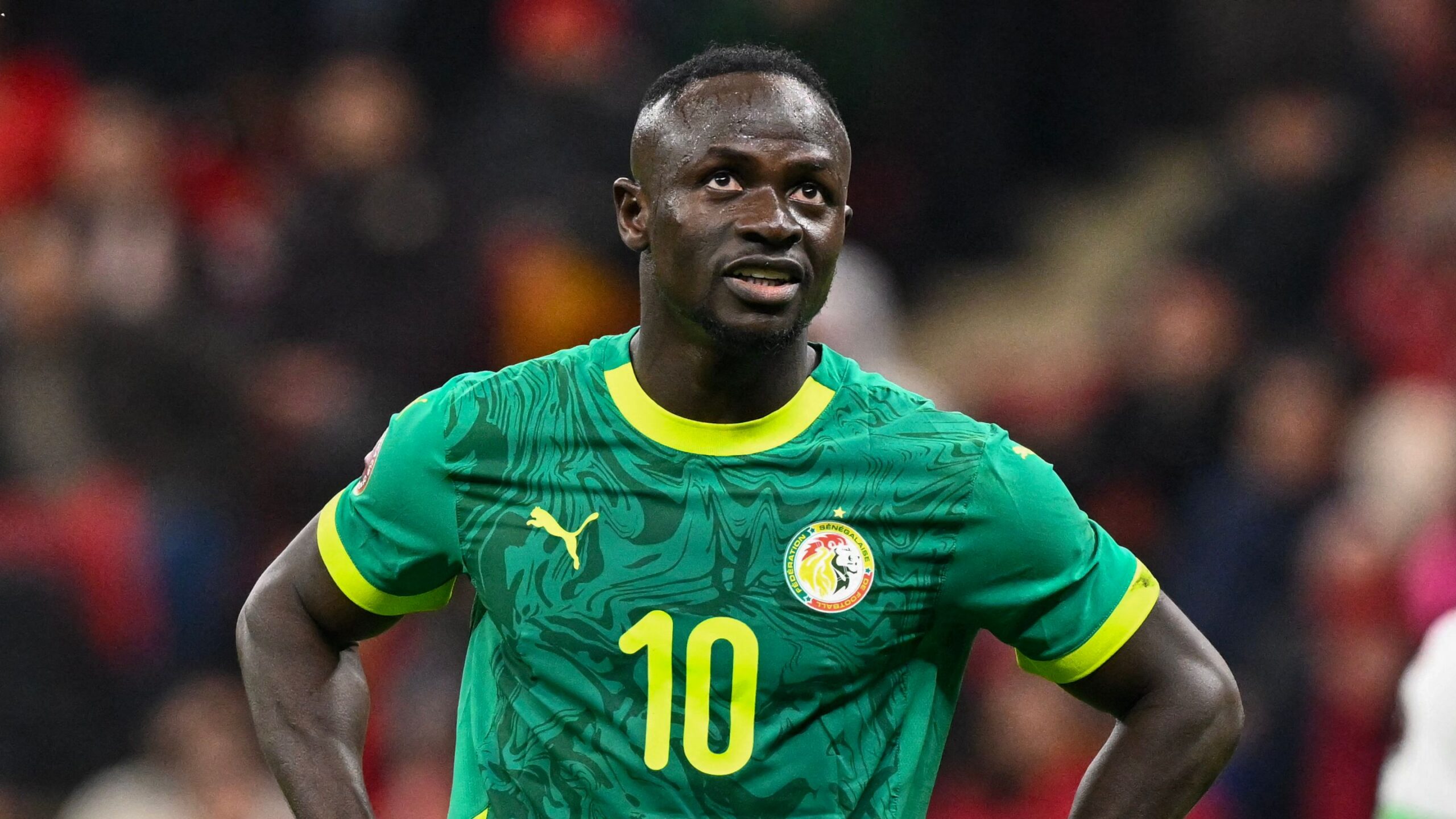 La can 2025 : le Maroc sacré champion après l&rsquo;annulation de la finale face au Sénégal