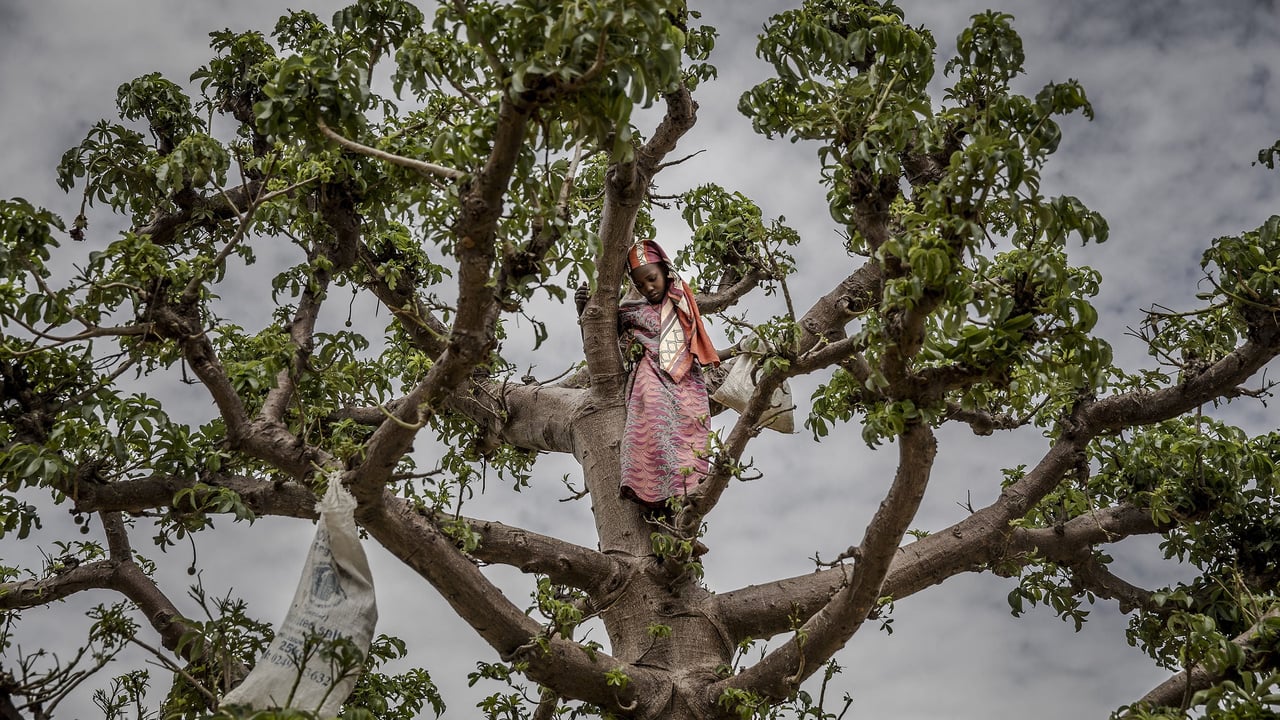 La crise économique au Niger : une génération face à la faim