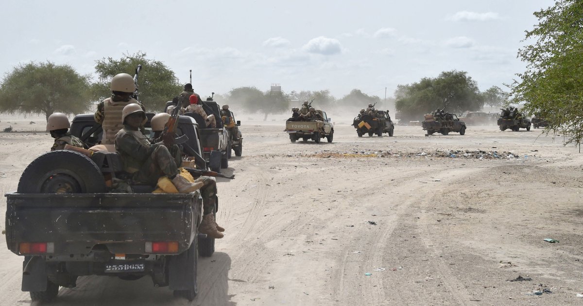 Forces armées nigérianes, Boko Haram, Kano, lac Tchad, Niger