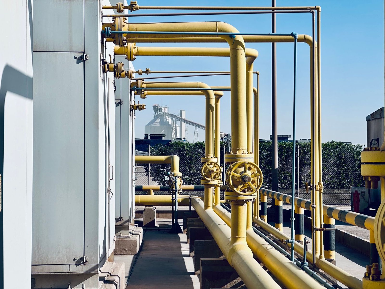 Dakar et Alger : une alliance stratégique renforcée pour les hydrocarbures africains