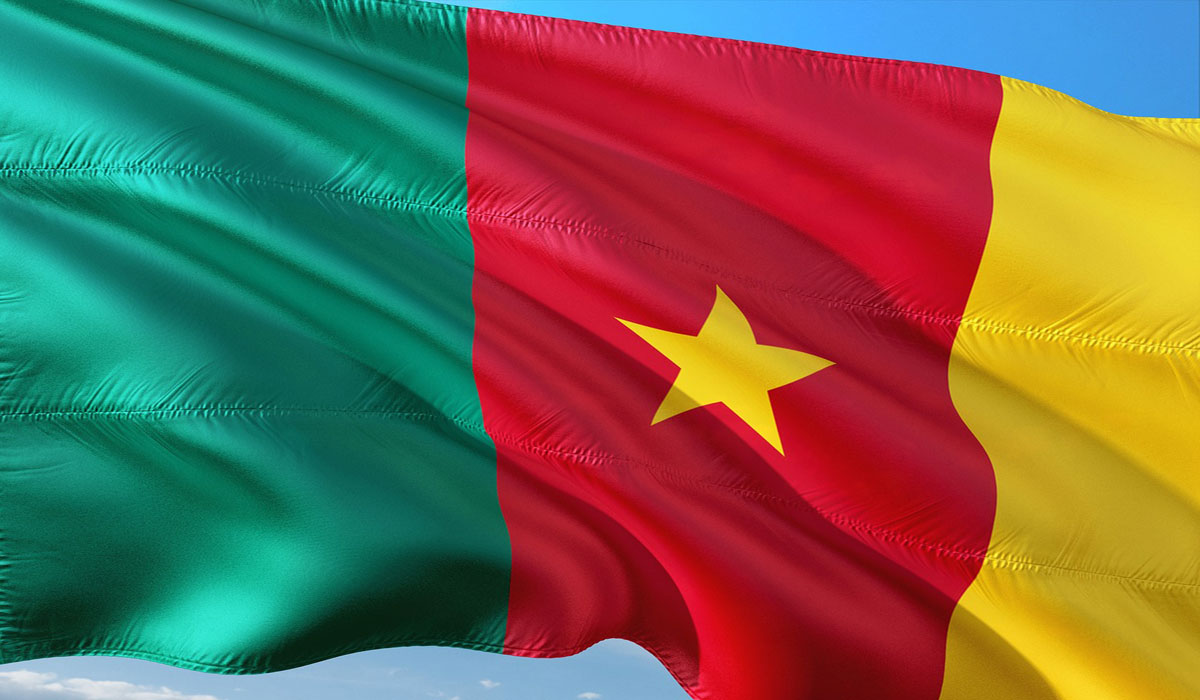 Le Cameroun et l&rsquo;ouverture des frontières : une approche prudente en Afrique