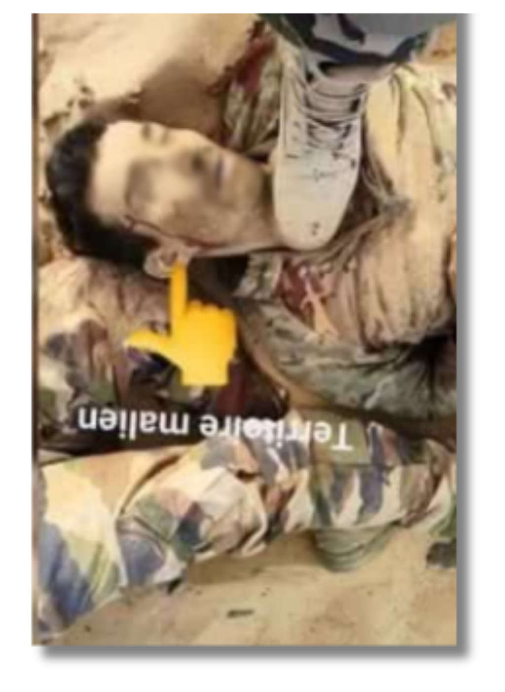 Recherche d'identification de l'homme en tenue militaire : l'image est un montage trompeur