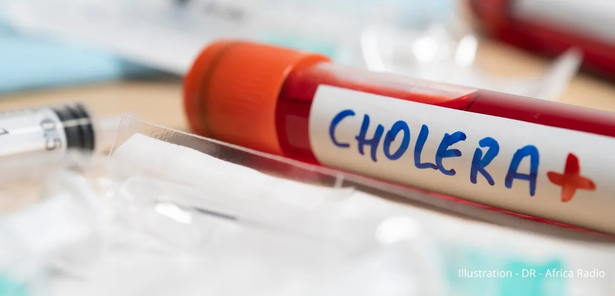Carte du Tchad montrant les zones touchées par l'épidémie de choléra