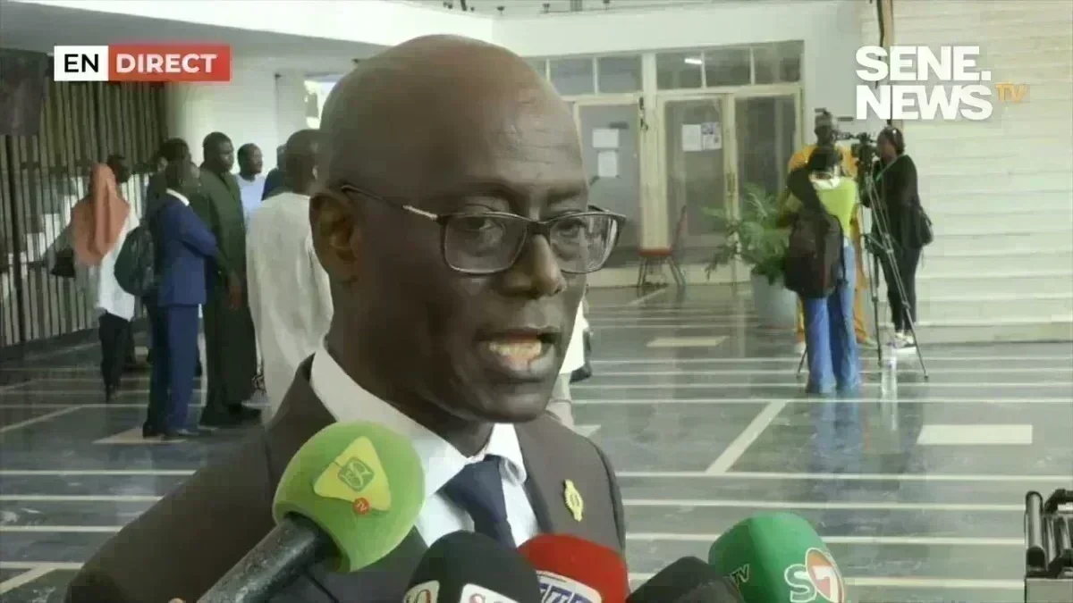 Analyse des déclarations de Thierno Alassane Sall sur Ousmane Sonko Thierno Alassane Sall et Ousmane Sonko lors d'une session parlementaire au Sénégal